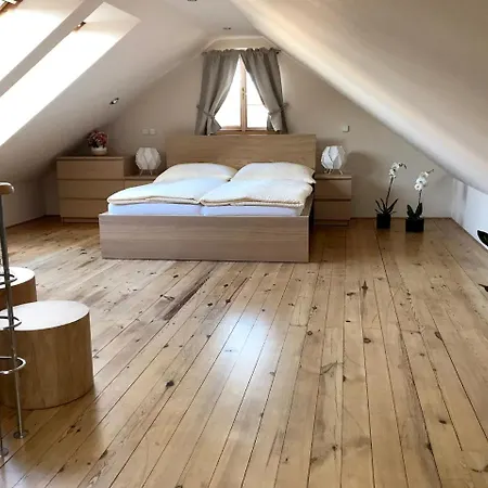 Apartment Sv. Petr